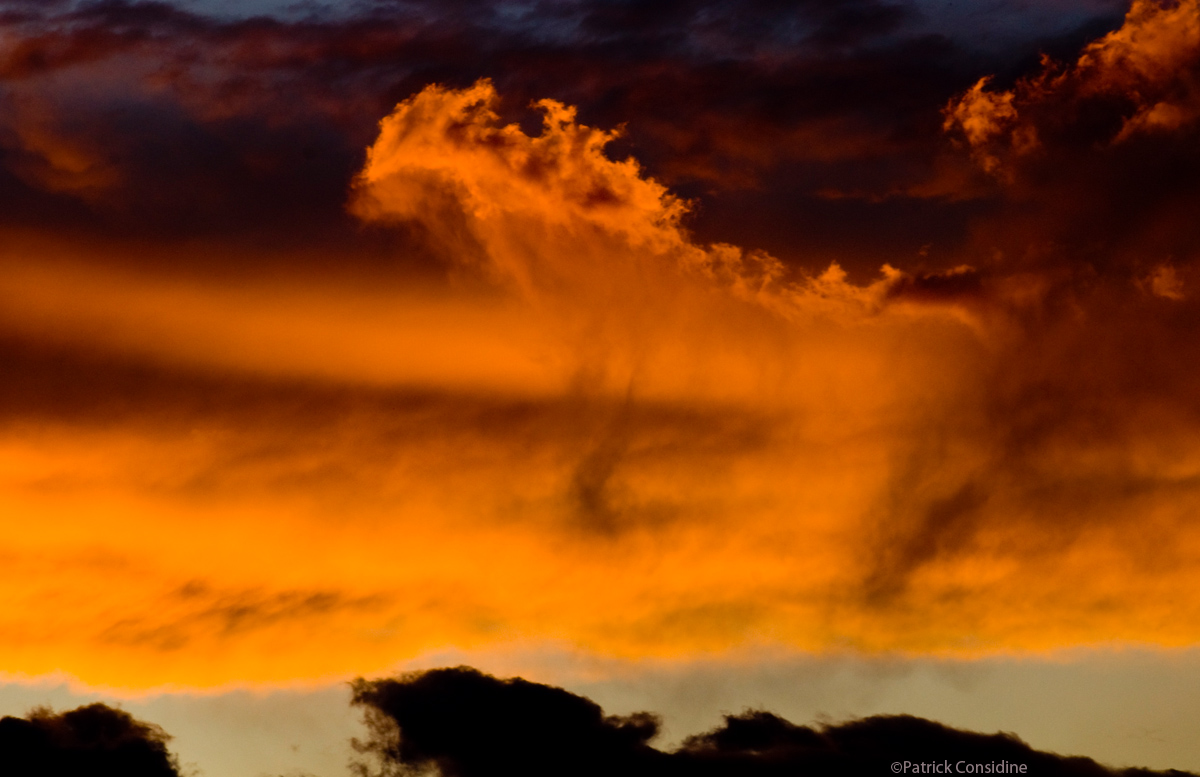 Pat Considine - Galloping Across the Sky